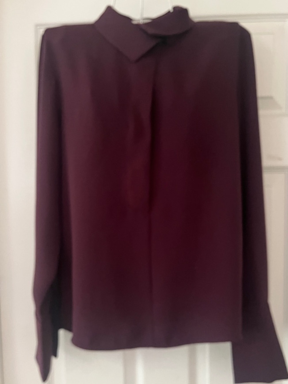 Babaton Plum Hidden-Placket Button-Down Blouse